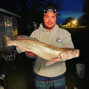 Meet your Posher, Brandon